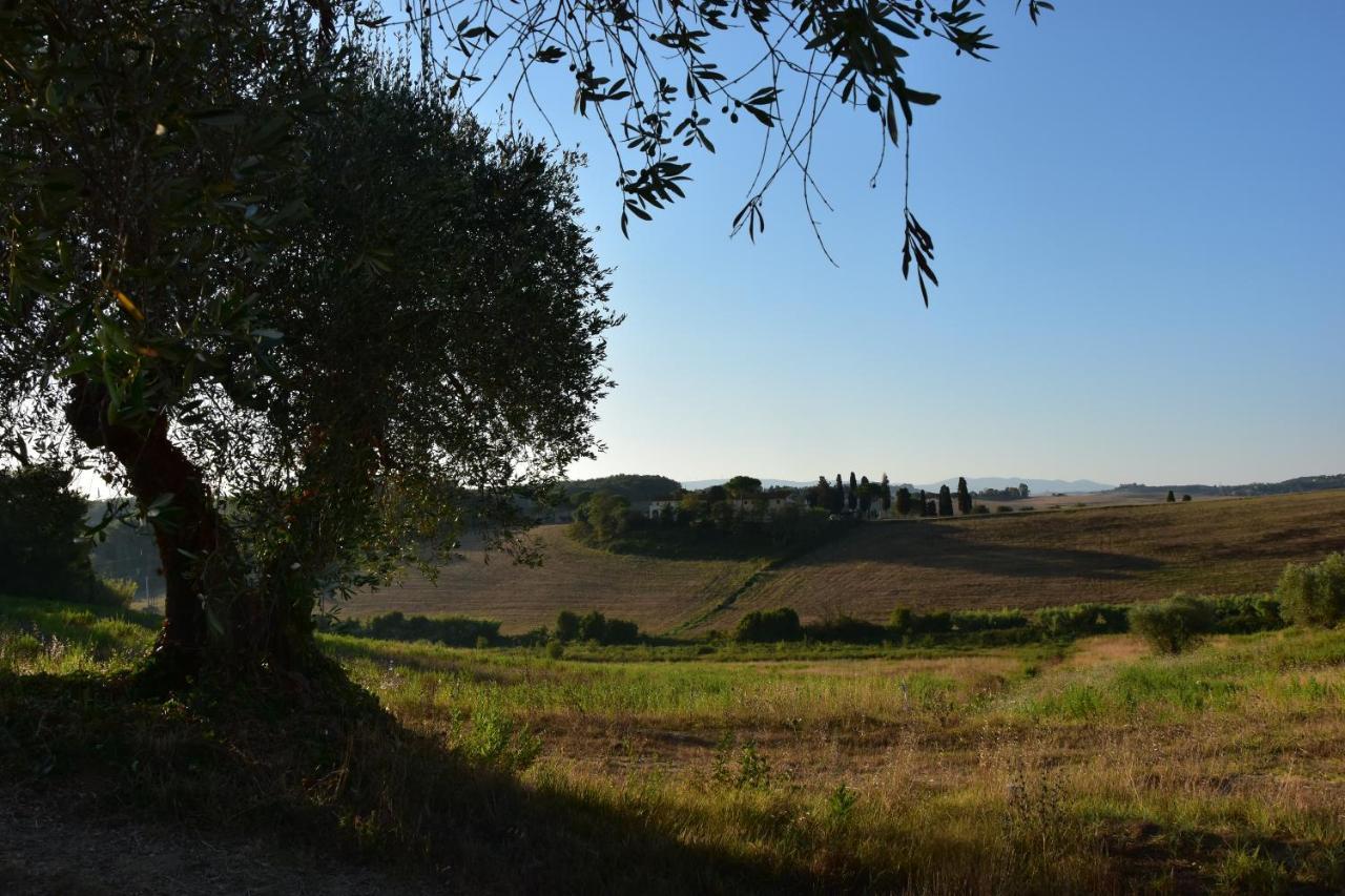 Agriturismo Cheloni Guasticce Εξωτερικό φωτογραφία