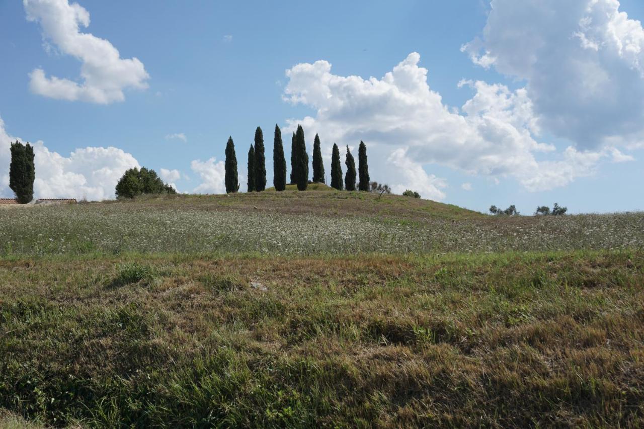 Agriturismo Cheloni Guasticce Εξωτερικό φωτογραφία