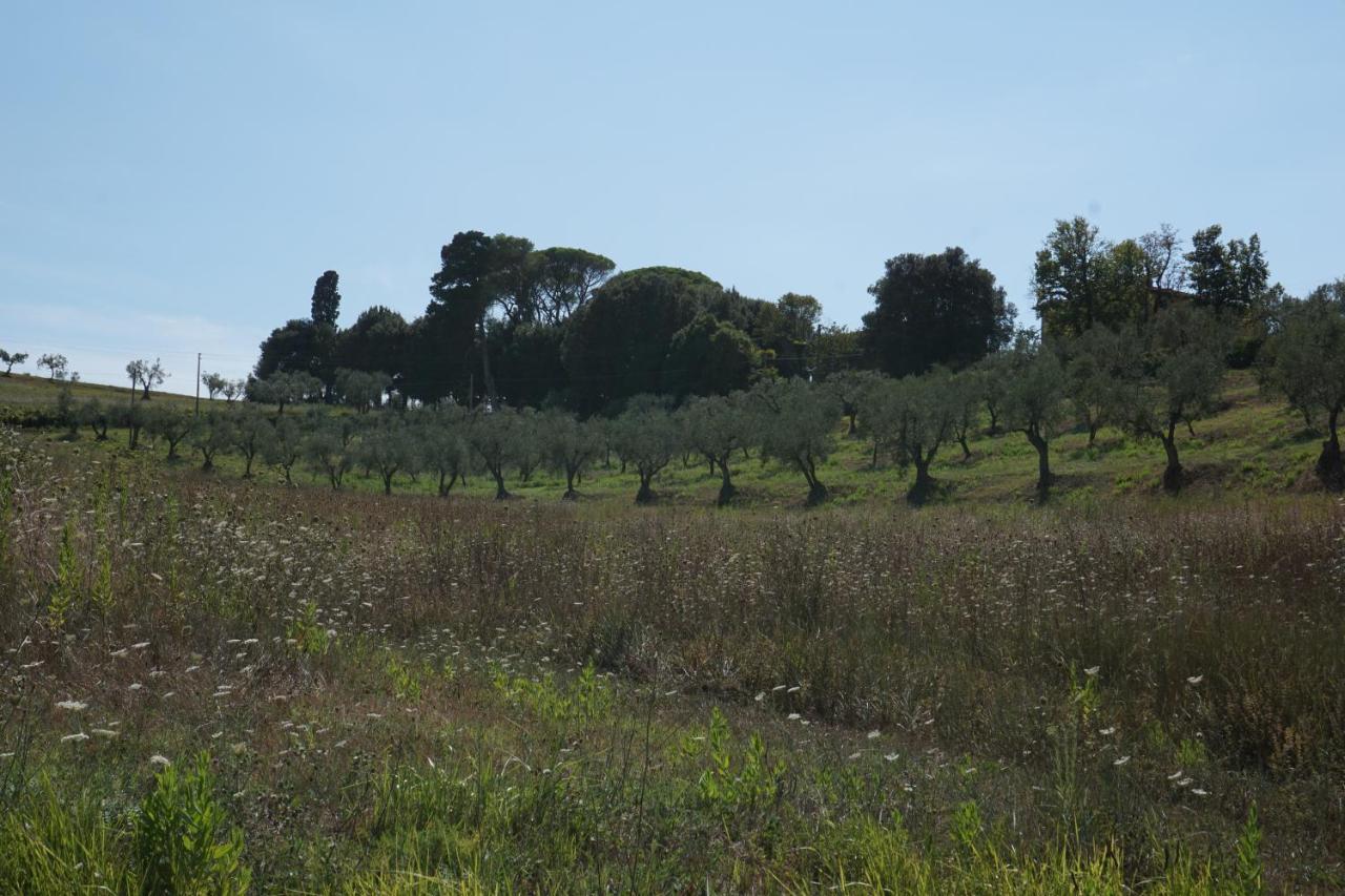 Agriturismo Cheloni Guasticce Εξωτερικό φωτογραφία